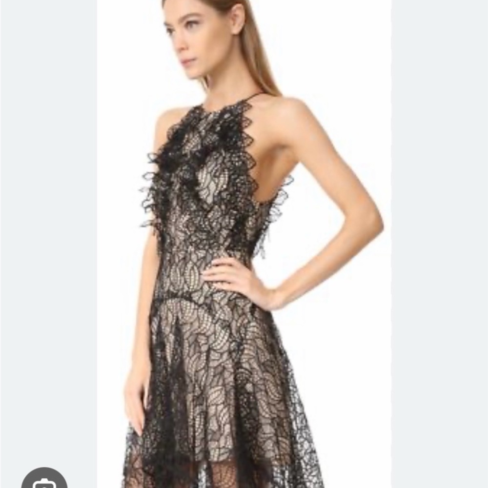 Acler Burton Lace Dress-AU 10, US 6 New With Tags - Picture 5 of 5
